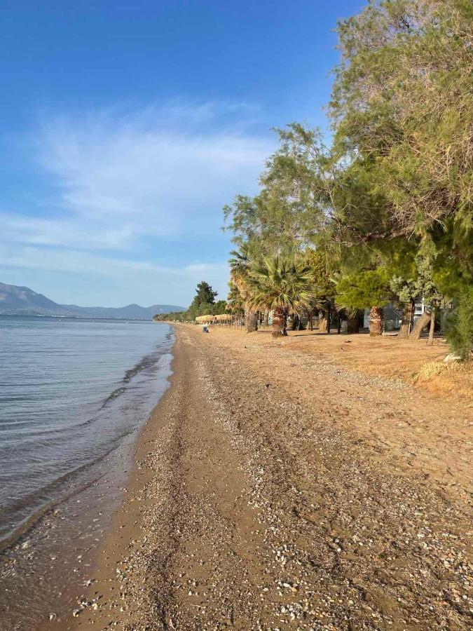 Μοντέρνα Εξοχική Μονοκατοικία Με Ιδιωτική Πισίνα! Khalkoutsion Exterior foto